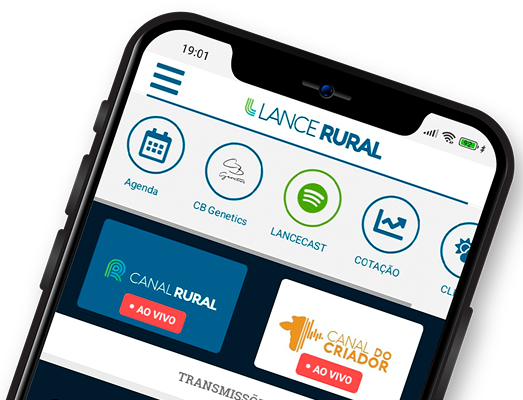 Imagem de um smartphone